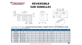 Reversible sur semelles pour mandrins Amestra nouveau modele / Ladner type iso / Pratt burnerd / Rohm