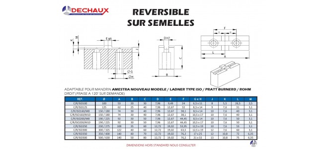 Reversible sur semelles pour mandrins Amestra nouveau modele / Ladner type iso / Pratt burnerd / Rohm