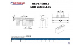 CURIAL - Plan à compléter