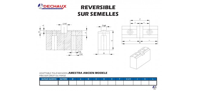 AMESTRA ANCIEN MODELE - Plan à compléter