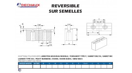 AMESTRA NOUVEAU MODELE - Plan à compléter