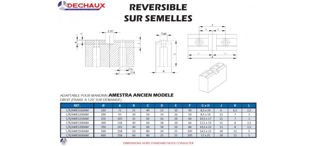 Reversible sur semelles pour mandrins Amestra ancien modele